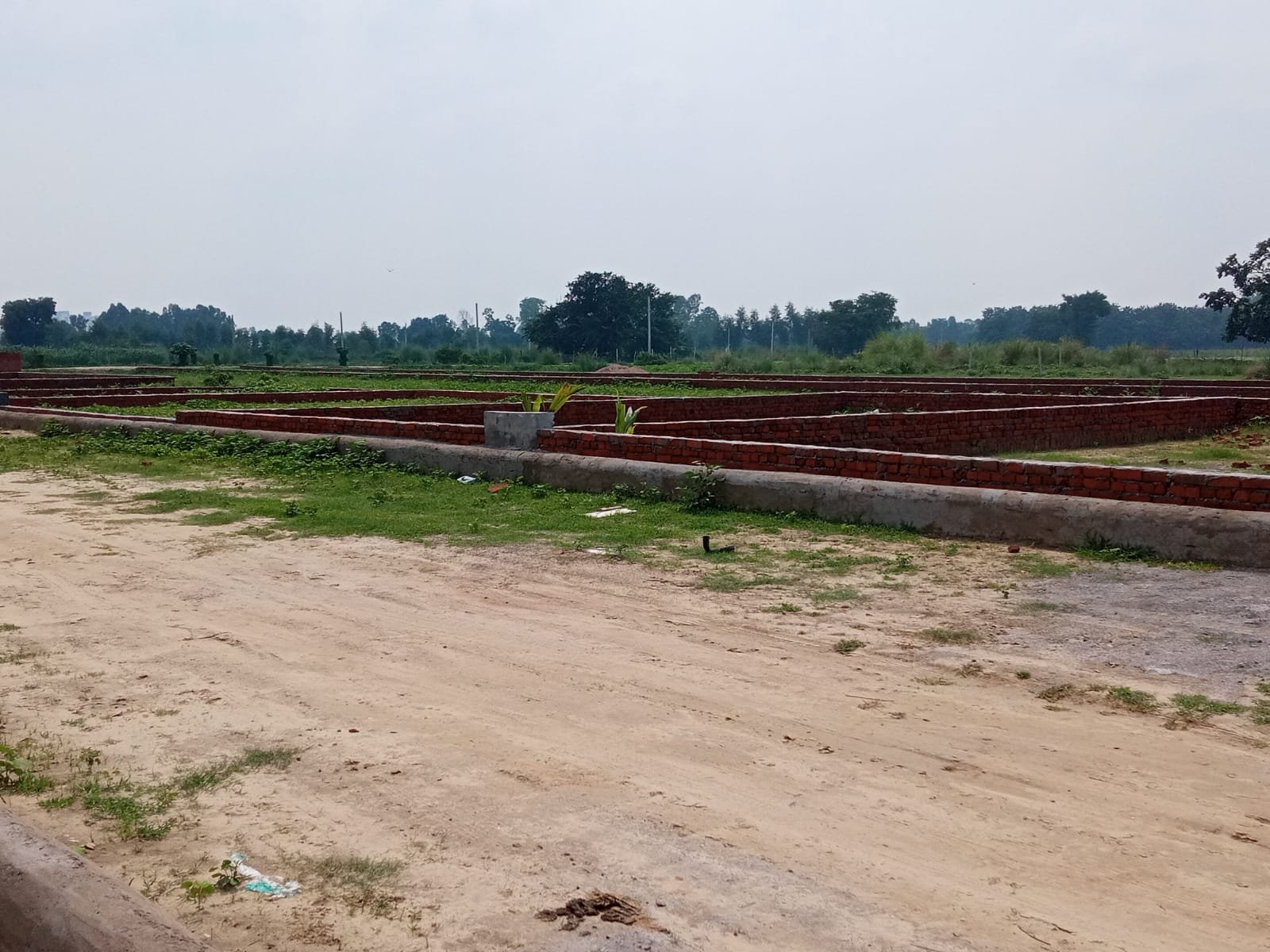 Trustus Group Ready to Move Residential Plots